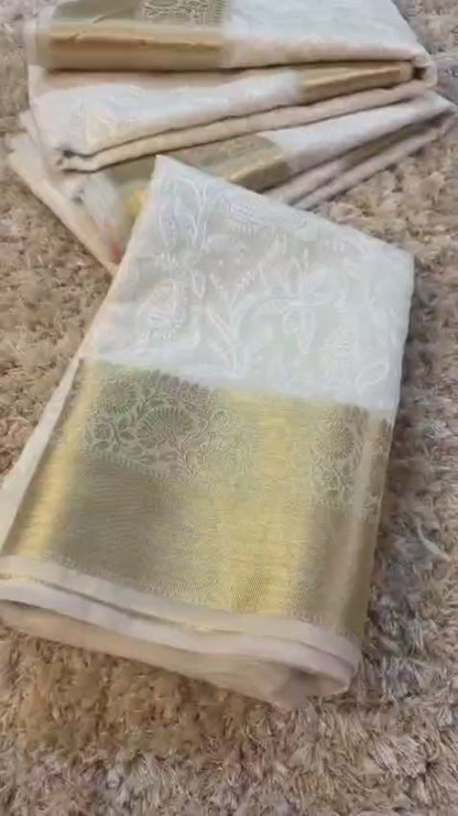 Banarasi Embroidered Cosmetic Saree - BECSWG013