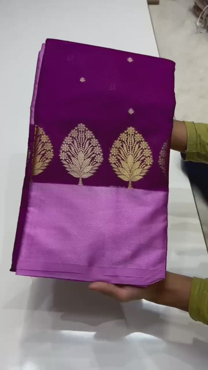 Banarasi Raw Mango Silk Saree - BRMABP1